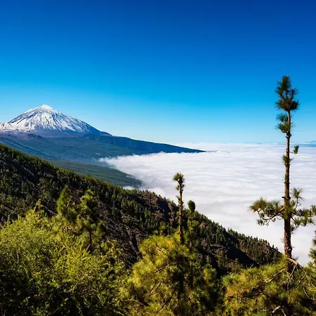 Casa Julia 2 Gran Piso Vistas Playa Teresitas 4 Pax *