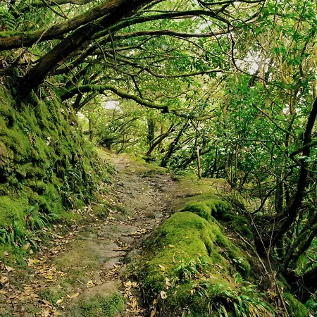 Casa Julia 2 Gran Piso Vistas Playa Teresitas 4 Pax *