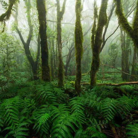 Casa Julia 2 Gran Piso Vistas Playa Teresitas 4 Pax * Santa Cruz de Tenerife