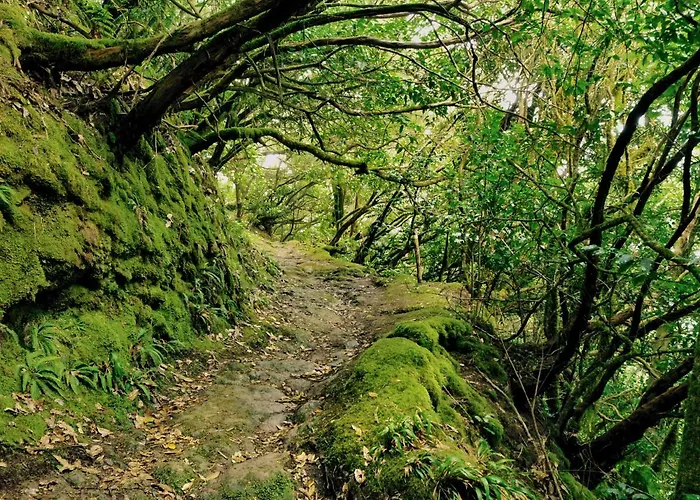 Casa Julia 2 Gran Piso Vistas Playa Teresitas 4 Pax *