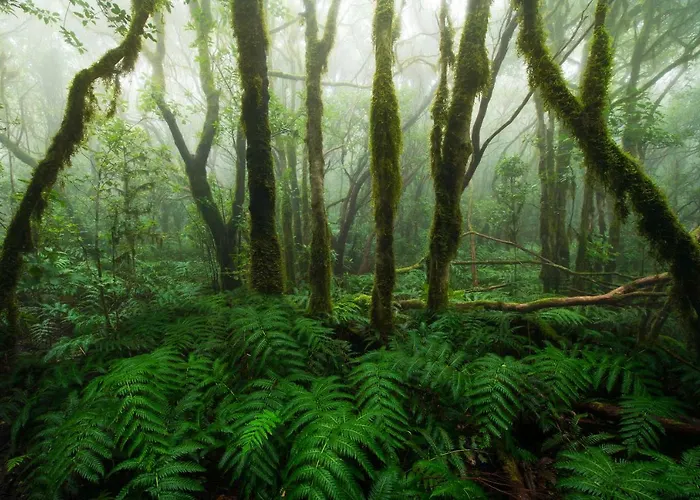 Casa Julia 2 Gran Piso Vistas Playa Teresitas 4 Pax * 圣克鲁斯-德特内里费