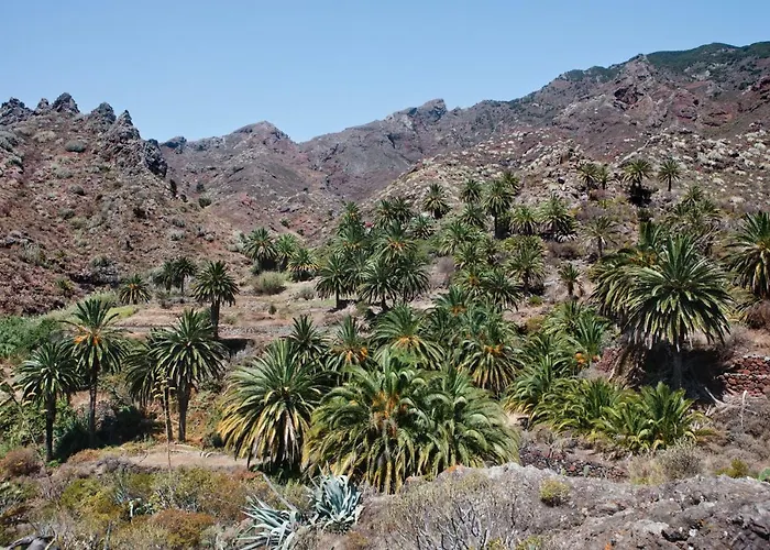 Casa Julia 2 Gran Piso Vistas Playa Teresitas 4 Pax Daire